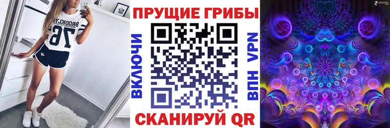 Галлюциногенные грибы Psilocybe Валуйки